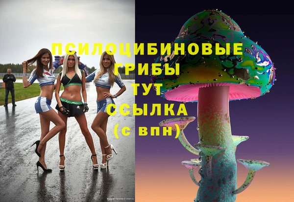 соль ск Костерёво