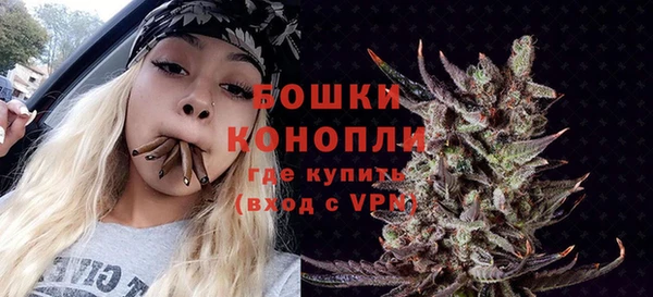 Альфа ПВП Корсаков